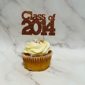 Class of 2014 Cupcake toppers 10th Class Reunion Set of 12 Pick Your Color