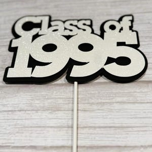 Class of 1995 Cake or Centerpiece Topper Pick for 30 Year Class Reunions, Parties Variety of Colors Photo Prop