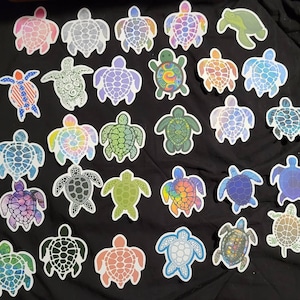 Turtle Magnets