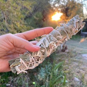Real Organic White Sage Smudge Stick – Hand-Harvested Blend for Energy Cleansing, Home Blessings, Protection Rituals Spiritual Purification