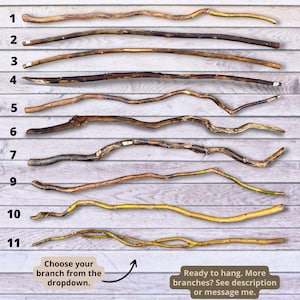 Willow Branch for Hanging, 46 inches (118 cm), Natural Decor Piece – Ideal for Boho, Rustic, and Coastal Interiors