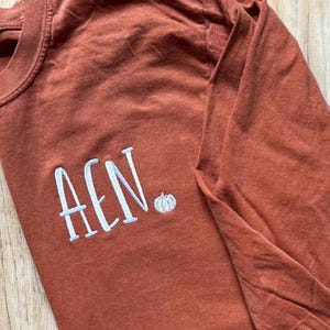 Könnte beinhalten: Rostfarbenes Langarmshirt mit den gestickten Buchstaben "AEN" und einem kleinen Kürbis. Das Shirt hat einen Rundhalsausschnitt und eine lockere Passform. Der Stoff scheint ein weiches, bequemes Material zu sein.