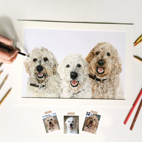 Realistic hand drawn colour pencil pet portrait from photo - group from separate photos. Pencil realism. Custom pet portrait.