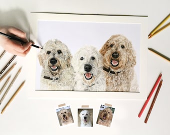 Realistic hand drawn colour pencil pet portrait from photo - group from separate photos. Pencil realism. Custom pet portrait.