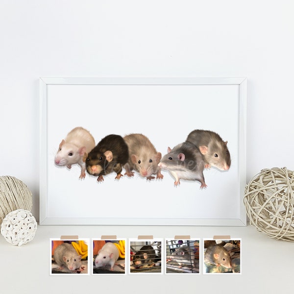 Hand drawn small pet - custom personalised illustration portrait. Rats, mice, hamsters, guinea pigs etc.