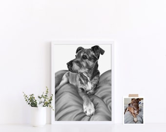 Monochrome portrait - black and white portrait - realistic portrait - pet portrait- child portrait- family portrait- grayscale drawing