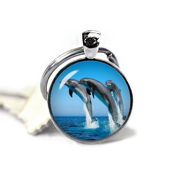dolphin keychain