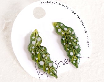 Spotted Begonia Leaf Earrings / Polka Dot Begonia Maculata Houseplant Earrings / Leaf Studs / Plant Lover Earrings