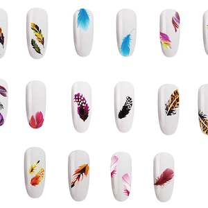 May include: A collection of white nail tips, each adorned with a unique feather design. The feathers feature a variety of colors, including blue, orange, yellow, and purple, and some have patterned details. The nail art is arranged in rows and columns.
