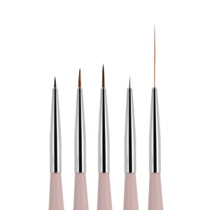 5pcs Nail Art Brush Set With Liners and Striping Brushes, for Thin Fine  Line Drawing, Detail Painting, Striping, Blending, One Stroke 