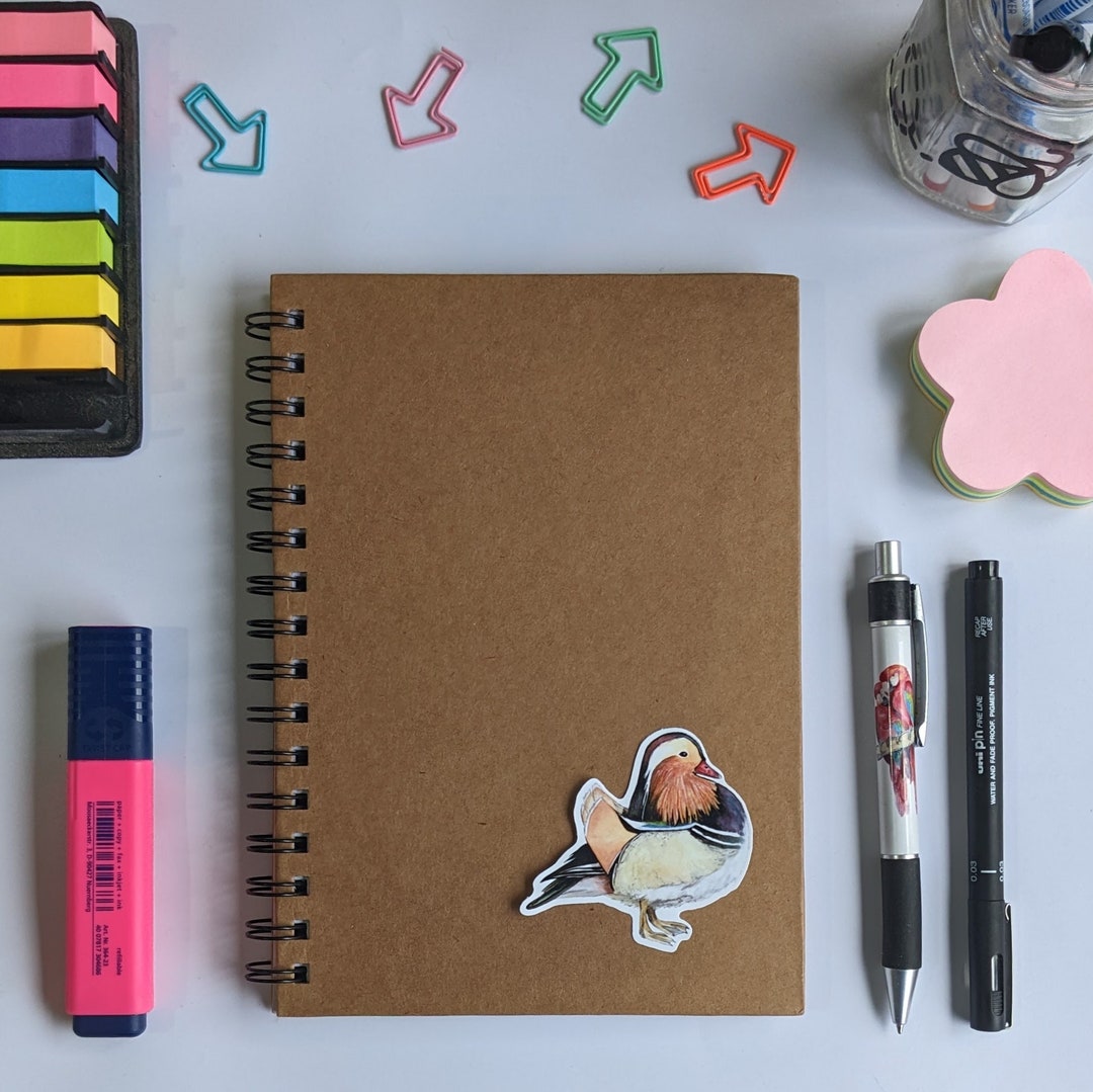 Mandarin Duck Sticker/ Wildlife Art / Unusual / Original / Unique ...