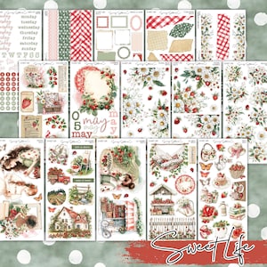 Sweet Life Decorative Sticker Kit | Journal Stickers | Journaling | Planner Stickers | Bujo | Planner | Strawberry Stickers