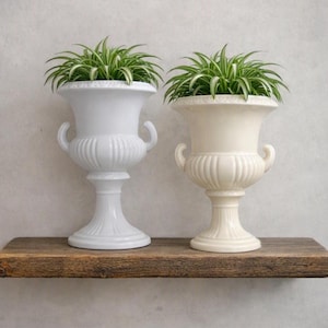 May include: Two urn-shaped planters with fluted bodies and side handles. One planter is bright white and the other is off-white. Each vessel contains a green spider plant with long, thin, arching leaves extending from the top opening.