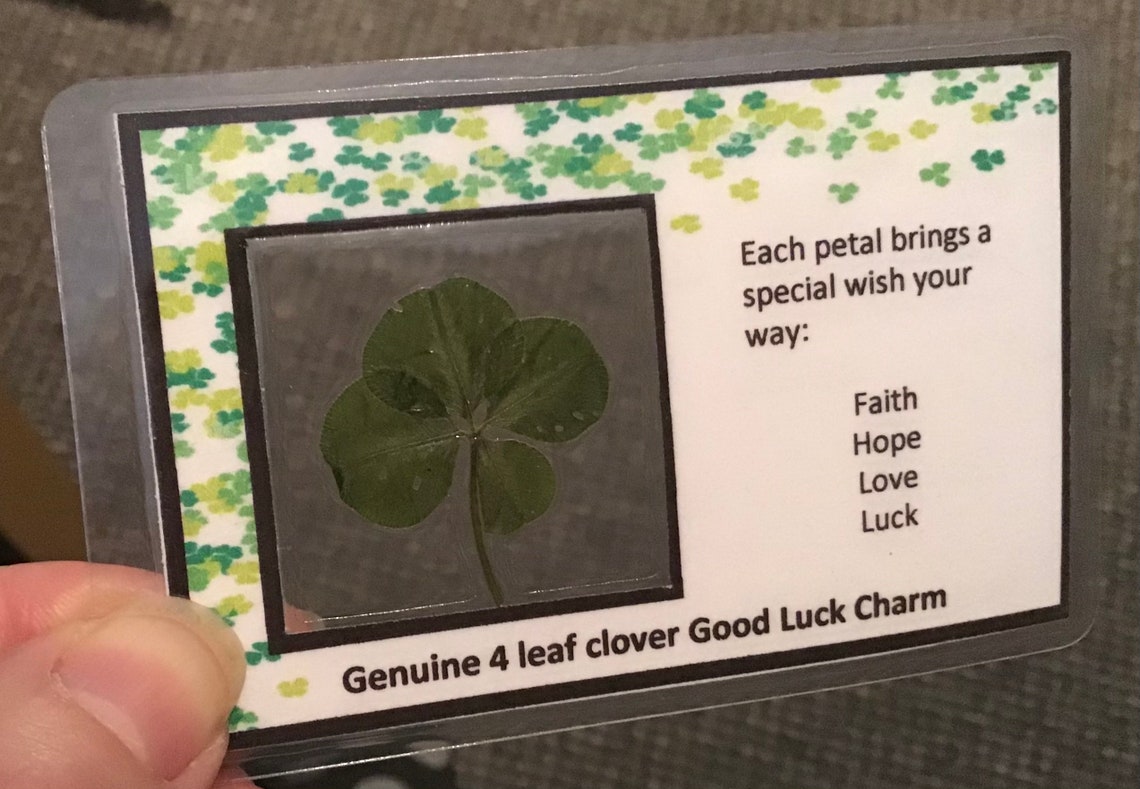 Genuine Real 4 Leaf Clover unique good luck charm gift. Card Etsy