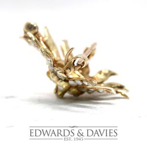 May include: A gold brooch with a starburst design set with white pearls. The brooch has a pin and catch closure.
