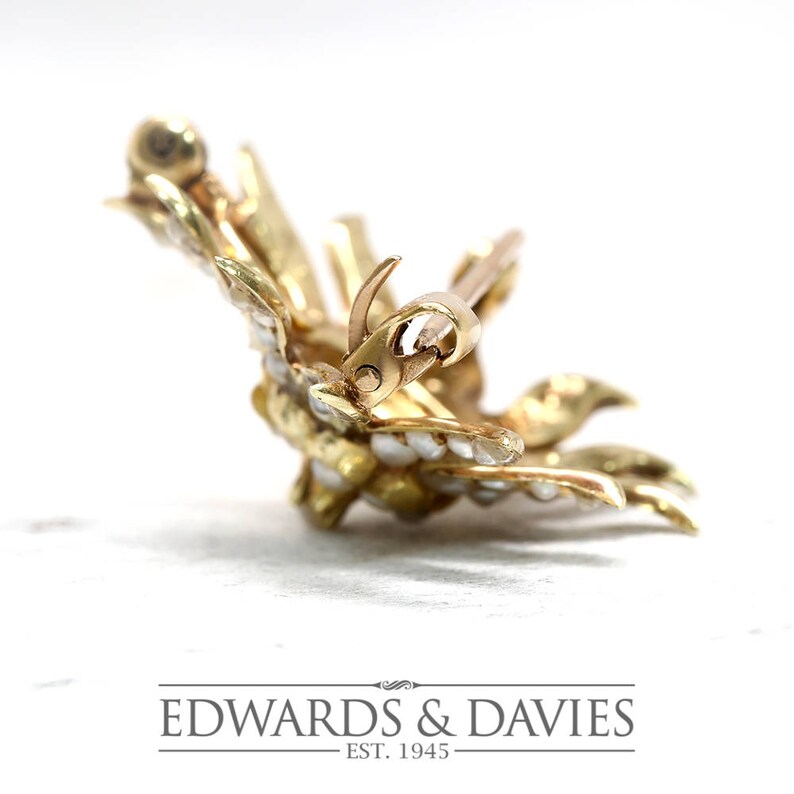 May include: A gold brooch with a starburst design set with white pearls. The brooch has a pin and catch closure.