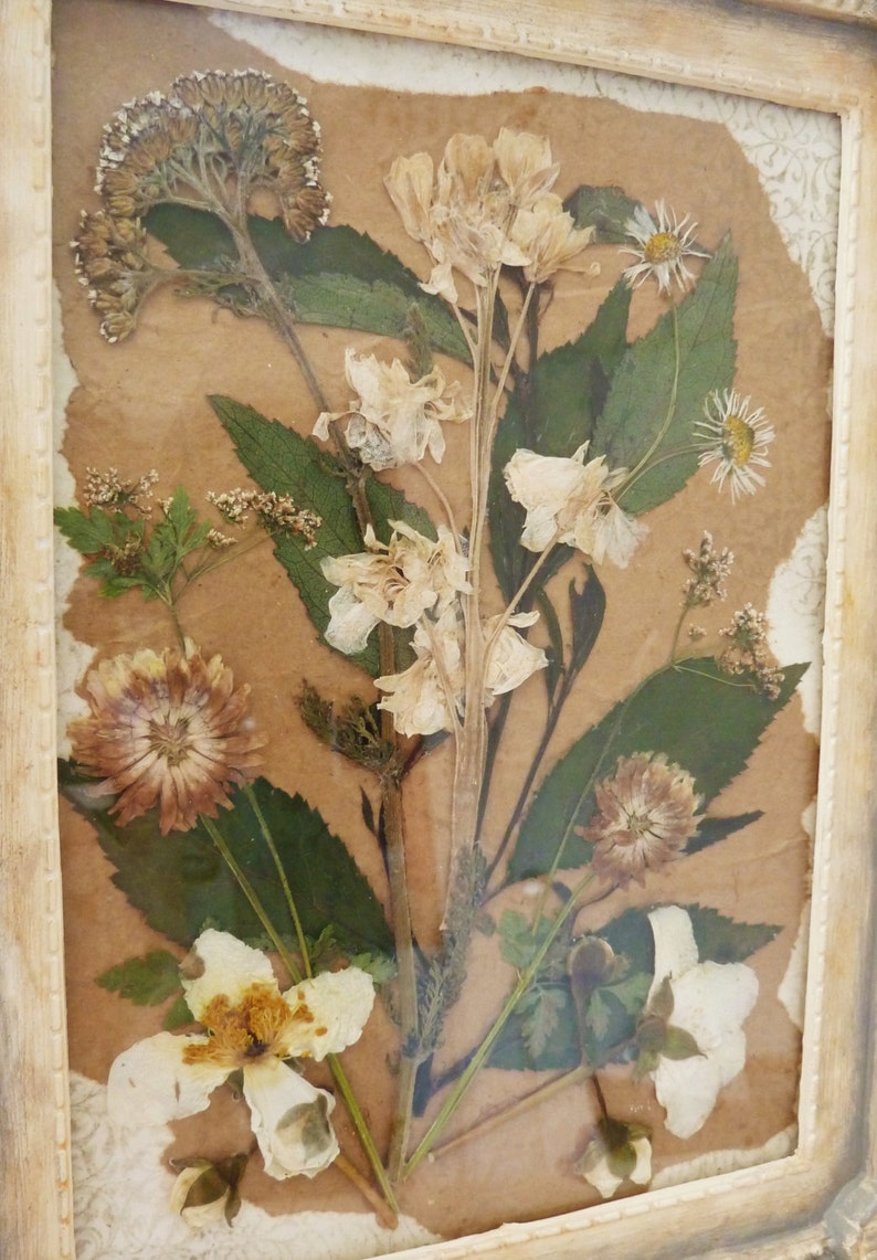 Pressed Wild Flower Collage in a Hand Painted Rococo Style Etsy
