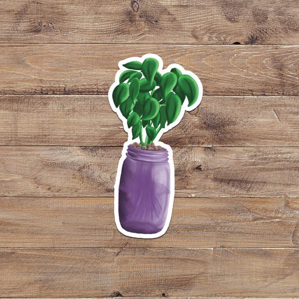 Kratky Hydroponics Mason Jar Sticker, Herb Garden, Plant Mom