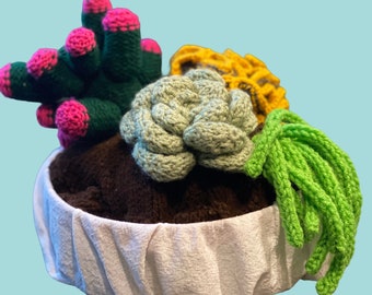 Low-Maintenance Hand-Knit Faux Succulent Plants - Natural Home Accents Easy Care Hand-Knit Faux Succulent Plants - Natural Home Accents