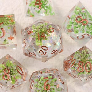 Può includere: Un set di dadi in resina trasparente con elementi floreali verdi incorporati e numeri color rame. I dadi, in varie forme geometriche (d20, d12, d6), sono adatti per giochi da tavolo.