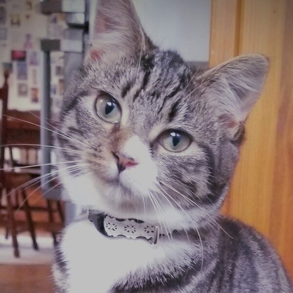 Safety Boutique Etsy