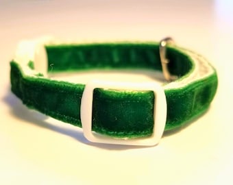 May include: A green velvet collar featuring a white plastic square buckle and a silver metal adjustment slider. The collar has a soft, textured surface and is constructed with a white fabric lining visible along the edges of the green velvet strap.