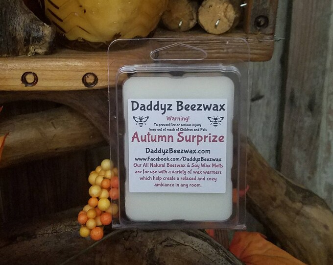 Autumn Surprize: Scented All Natural Air Purifying Beeswax Coco Creme Melts! 6 Blocks Per Pack.