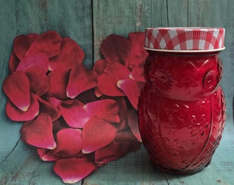 Mamaz Love Spell: 15 oz essential oil Scented Beeswax coco creme Candle with Wood Wick in red glass owl