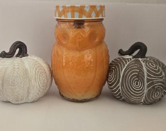 Harvest Gatheringz: 15 oz Scented All Natural Beeswax Coco Creme Candle with Wood Wick in a Owl Mason Jar with a lid