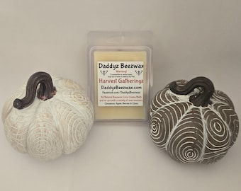 Harvest Gatheringz: Scented All Natural Beeswax Coco Creme Wax Melts! 6 Blocks Per Pack.