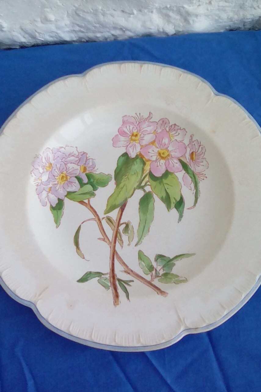 Plat Français, Motif Floral Peint à La Main, H B Choisy.