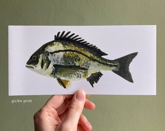 Black Bream linocut greetings card