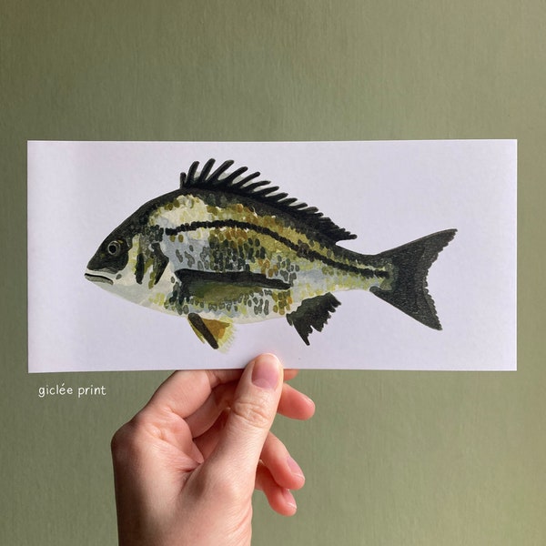 Black Bream linocut greetings card