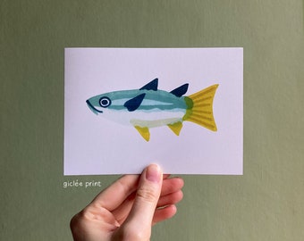 Squaretail Mullet linocut fish greetings card