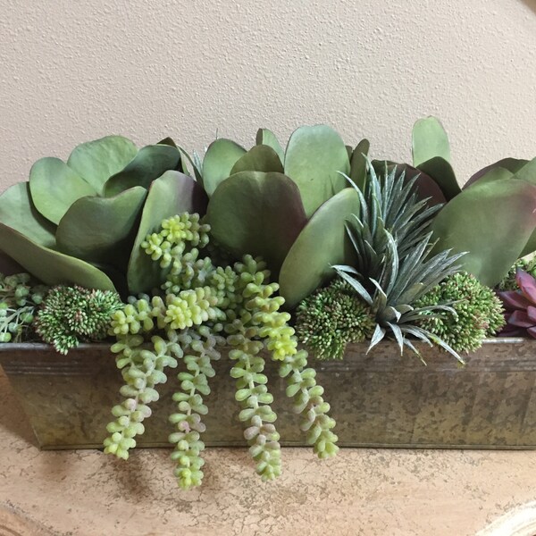 Artificial Succulents, Succulent  Arrangements, Grasses, Succulents