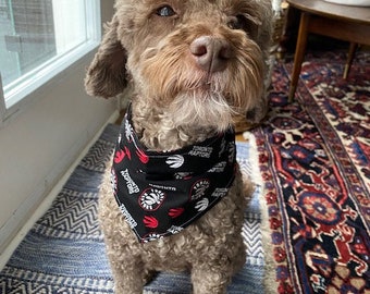 toronto raptors dog jersey