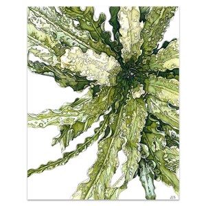 Leaves 2 – pen sketch, colourful drawing, decorative art