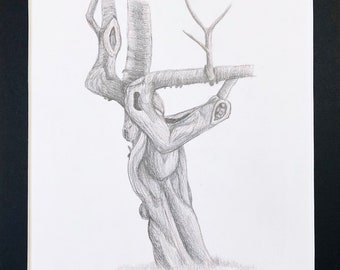 Cherry Blossom Tree – tree sketch, pencil drawing, matted artwork