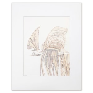 In The Light Jellyfish – original coloured pencil drawing, animal drawing, abstract drawing
