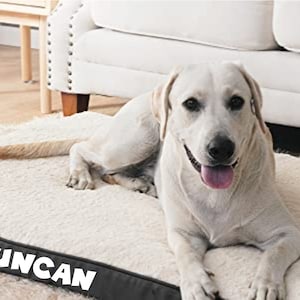 Personalized Orthopedic Foam Dog Bed