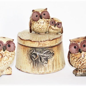 Vintage Owl Pottery Salt and Pepper Set: Handcrafted Cruet Condiment Set