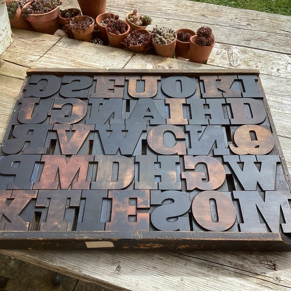 Vintage Wood letterpress type. 33 ind.pieces. 85cm high.