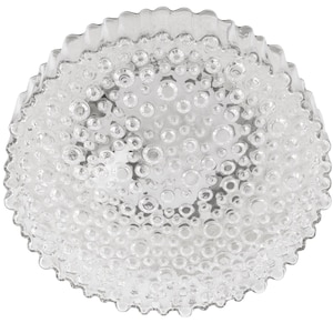 May include: A circular, clear glass ceiling light fixture featuring a textured surface with numerous raised, bubble-like protrusions. The edges of the glass dome are scalloped, creating a decorative border around the translucent, spherical pattern.
