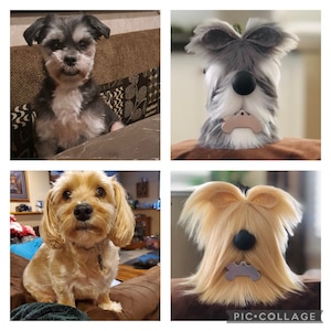 Custom Puppy