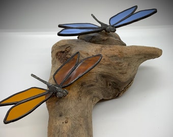 Fused Glass Dragonfly on Driftwood with Succulents