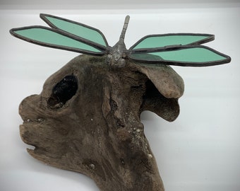 Fused Glass Dragonfly on Driftwood with Succulents