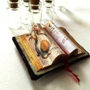 BJD Halloween, BJD book, witch grimoire, 1:6 book, bjd accessories, witch Pullip, spell book, diorama accessories, witch Blythe, tiny altar