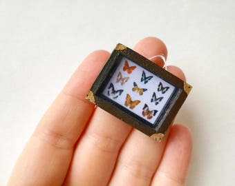 Tiny BJD props, Miniature taxidermy, 1:12 diorama, pukipuki props, doll taxidermy, 1/12 decor, Doll house frame, real puki, dollhouse props