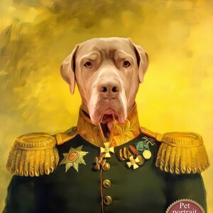 Colonel portrait pet Military Uniform General drawing | Etsy