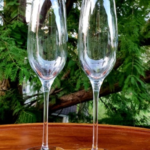 Tiffany & Co Champagne Flutes 9.5 Inches Tall Set of 2 With